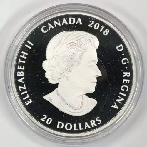 1 oz Silver