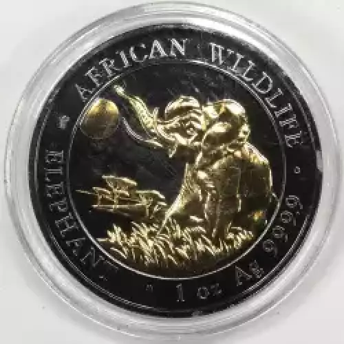 1 oz Silver (2)