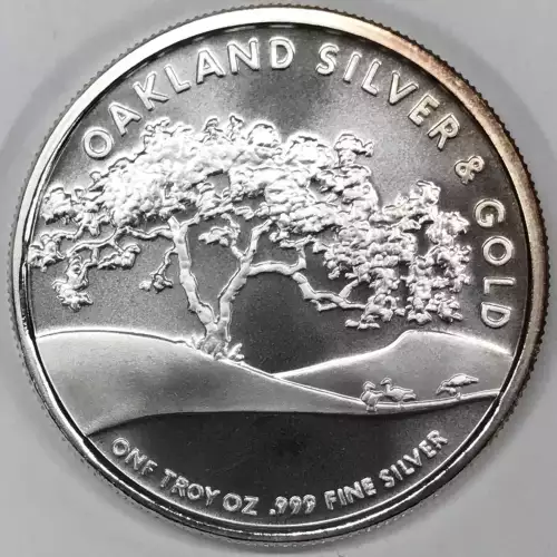 1 oz Silver (2)