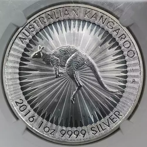 1 oz Silver (3)