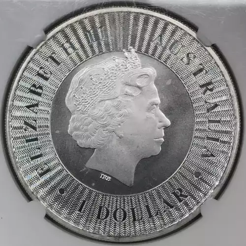 1 oz Silver