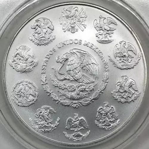 1 oz Silver (2)