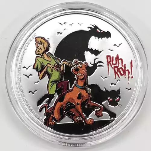 1 oz Silver (COIN)