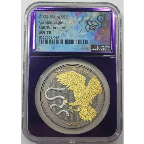 1 oz Silver (COIN)