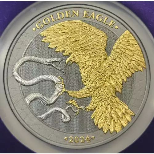 1 oz Silver (COIN) (2)