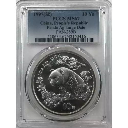 1 oz Silver (COIN)