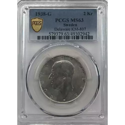 1 oz Silver (COIN)
