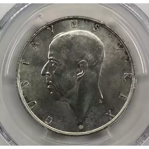 1 oz Silver (COIN) (2)
