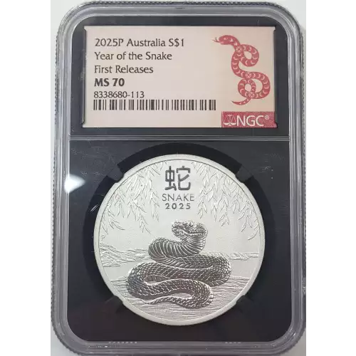 1 oz Silver (COIN)