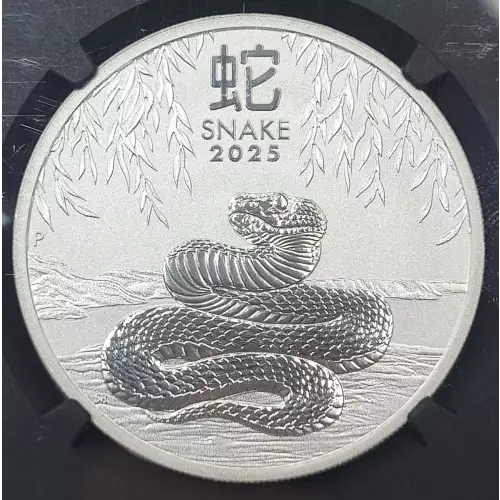 1 oz Silver (COIN) (3)