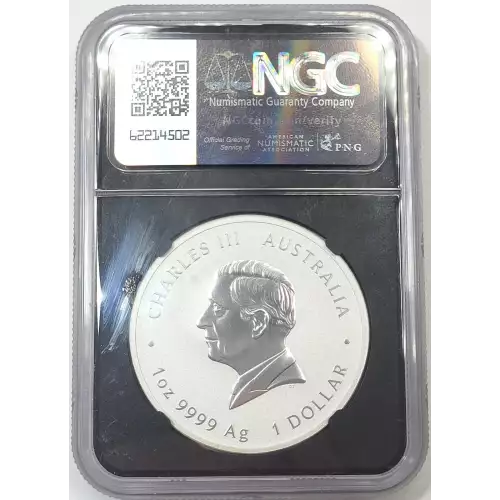 1 oz Silver (COIN) (4)
