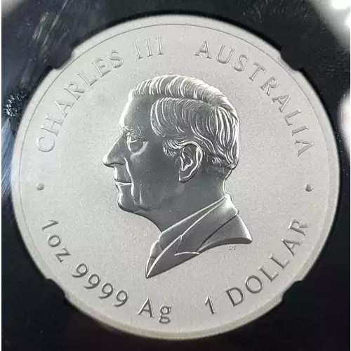 1 oz Silver (COIN) (2)