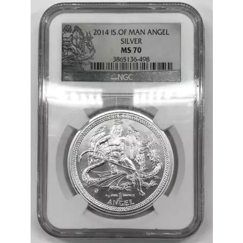 1 oz Silver (COIN)