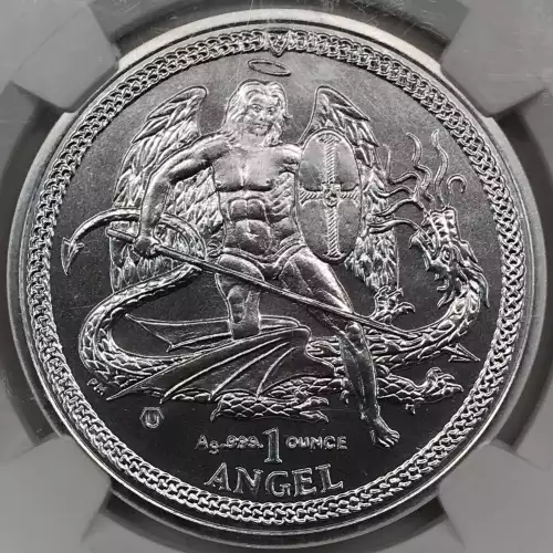 1 oz Silver (COIN) (2)