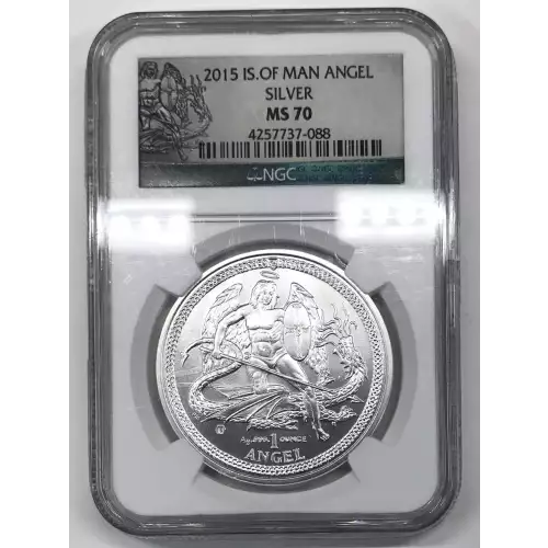 1 oz Silver (COIN)