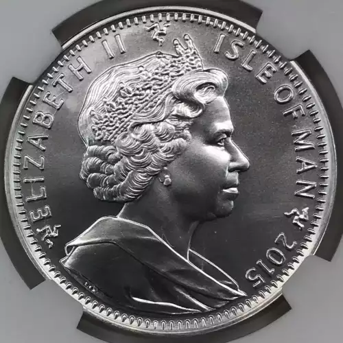 1 oz Silver (COIN)