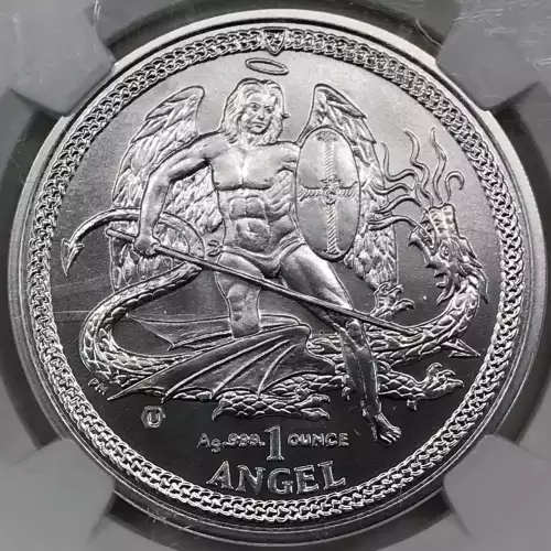 1 oz Silver (COIN)