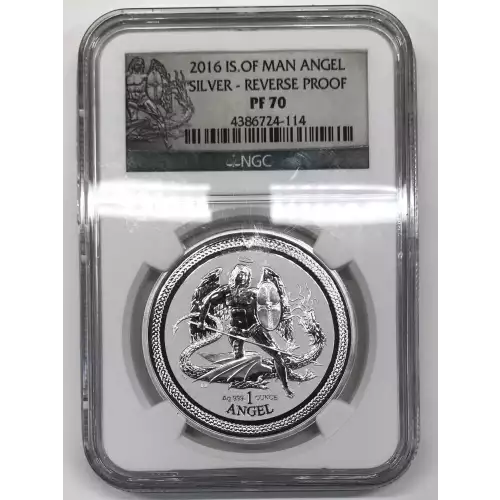 1 oz Silver (COIN)