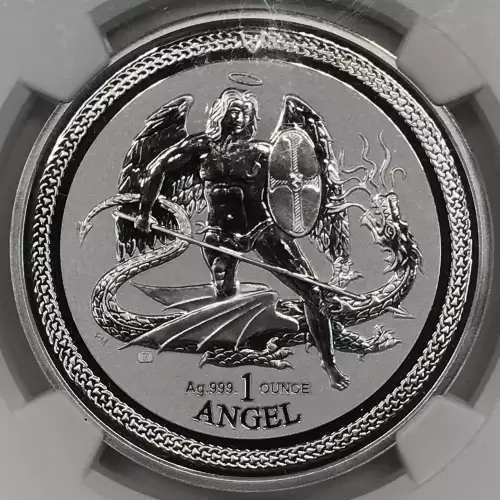 1 oz Silver (COIN) (2)