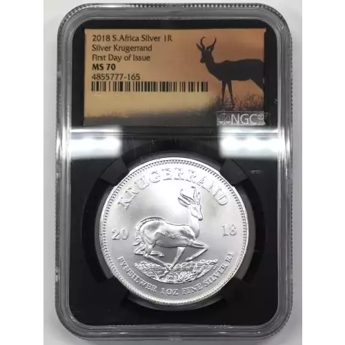 1 oz Silver (COIN)
