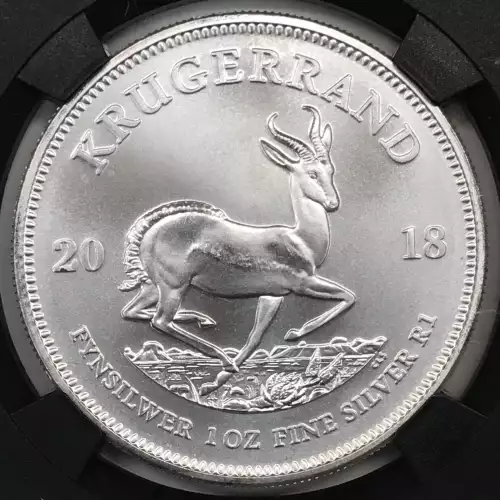 1 oz Silver (COIN) (2)