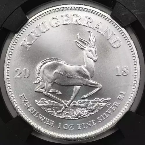 1 oz Silver (COIN) (3)