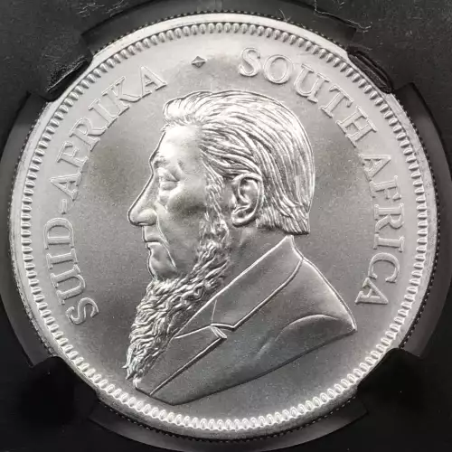 1 oz Silver (COIN)
