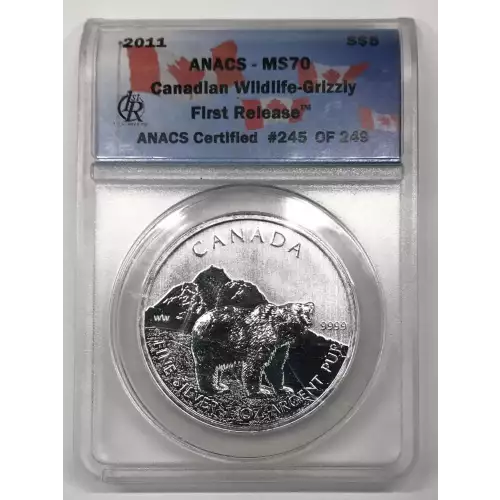 1 oz Silver (COIN)