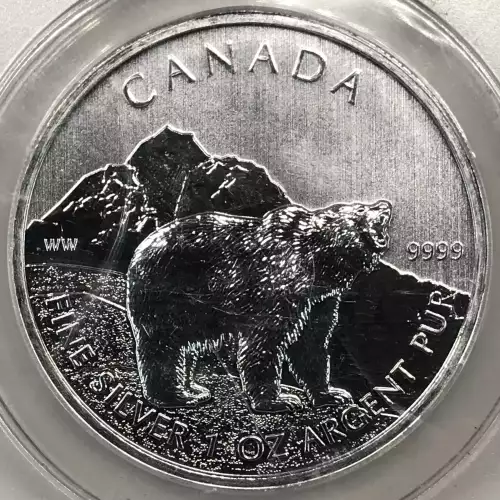 1 oz Silver (COIN) (2)
