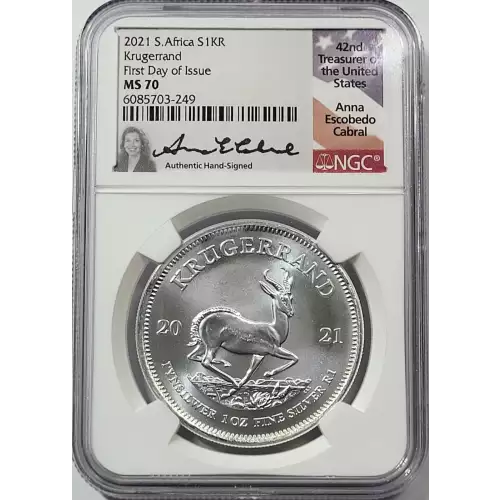 1 oz Silver (COIN)