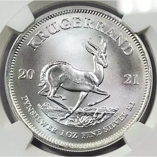 1 oz Silver (COIN) (2)