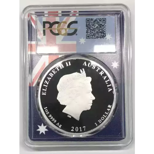 1 oz Silver (COIN)