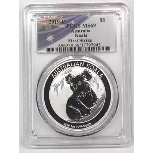 1 oz Silver (COIN)