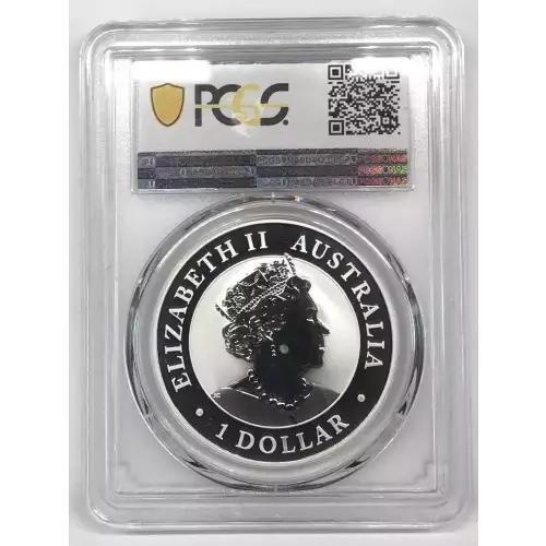 1 oz Silver (COIN) (2)
