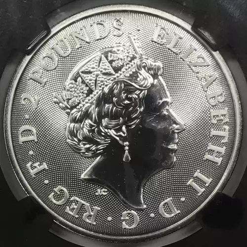 1 oz Silver (COIN)