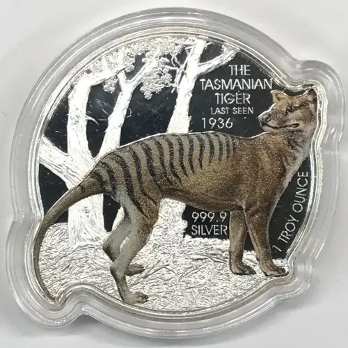 1 oz Silver (COIN)