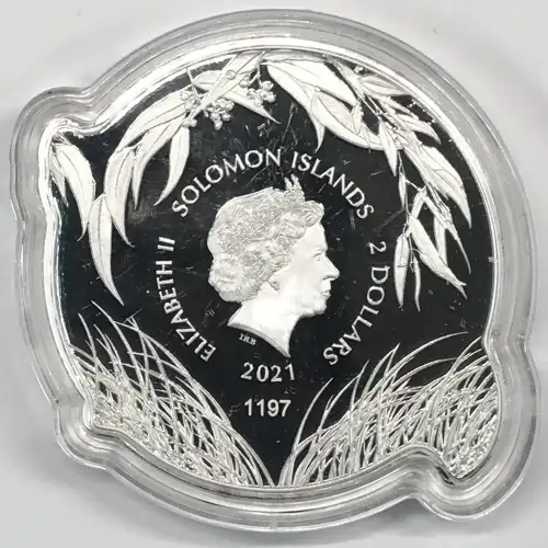 1 oz Silver (COIN) (2)