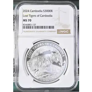 1 oz Silver (COIN) (2)