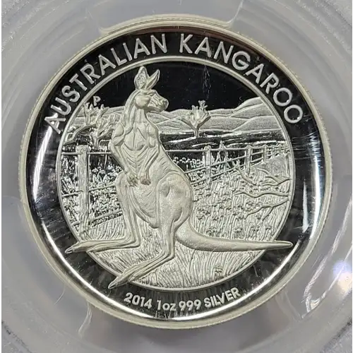 1 oz Silver (COIN) (2)