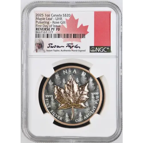 1 oz Silver (COIN) (2)