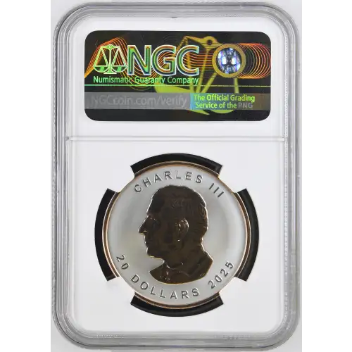 1 oz Silver (COIN) (3)