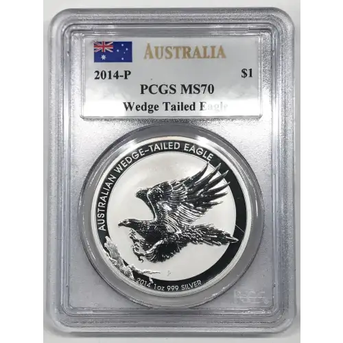 1 oz Silver (COIN) (4)