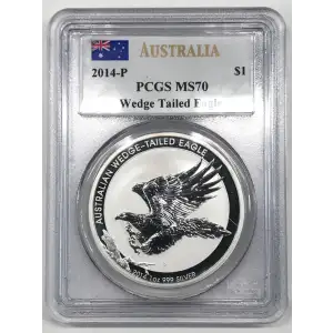 1 oz Silver (COIN) (4)