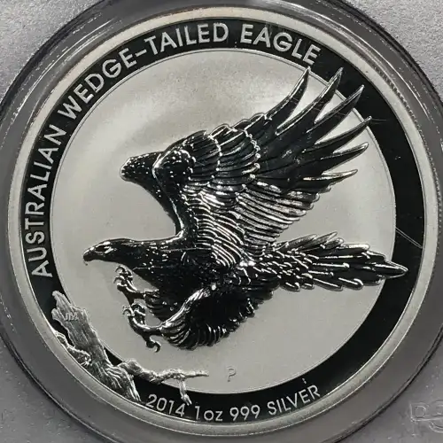 1 oz Silver (COIN) (2)