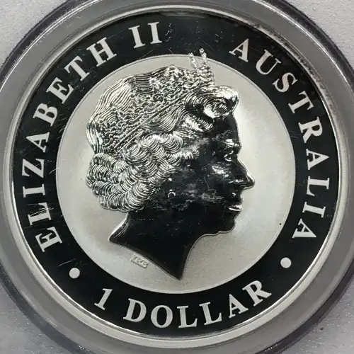 1 oz Silver (COIN) (3)