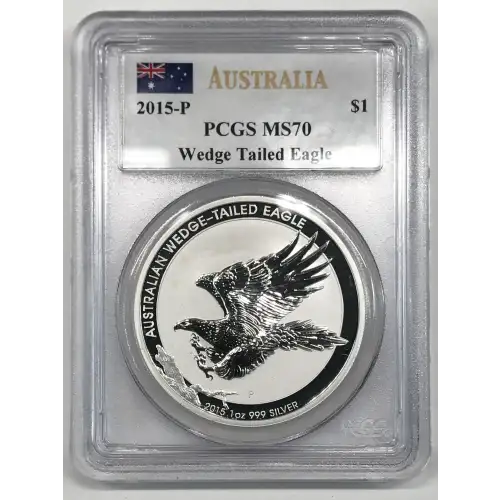 1 oz Silver (COIN) (2)