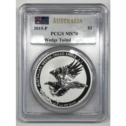 1 oz Silver (COIN) (2)