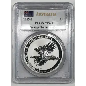 1 oz Silver (COIN) (2)