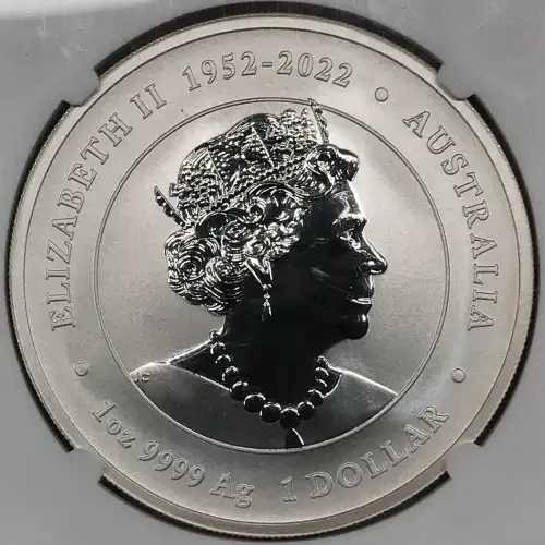 1 oz Silver (COIN)