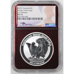 1 oz Silver (COIN) (2)